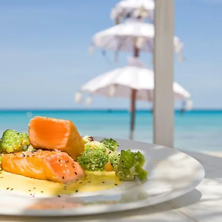 Cas Ferrer Nou Hotelet Hotel Alcudia (Mallorca)